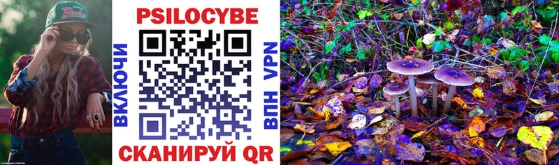 Купить где  Шенкурск  Галлюциногенные грибы MAGIC MUSHROOMS 